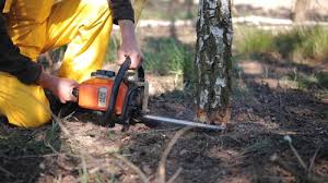 Best Lot and Land Clearing Services  in Fairfax Station, VA